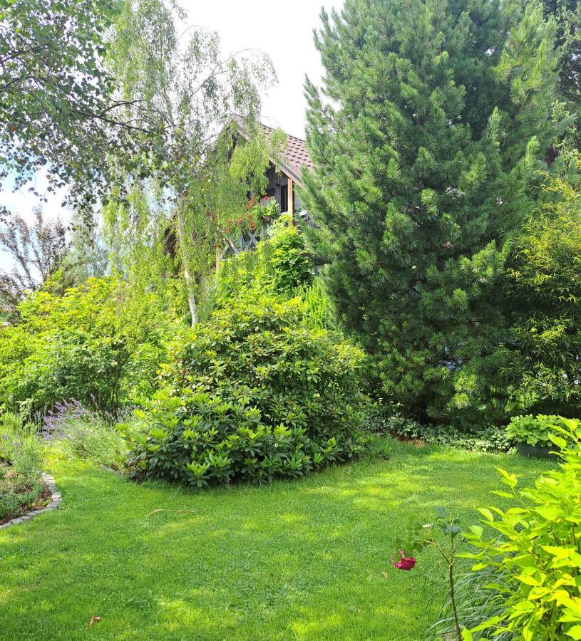 Apartament Drozdzikowka Żywiec Esterno foto