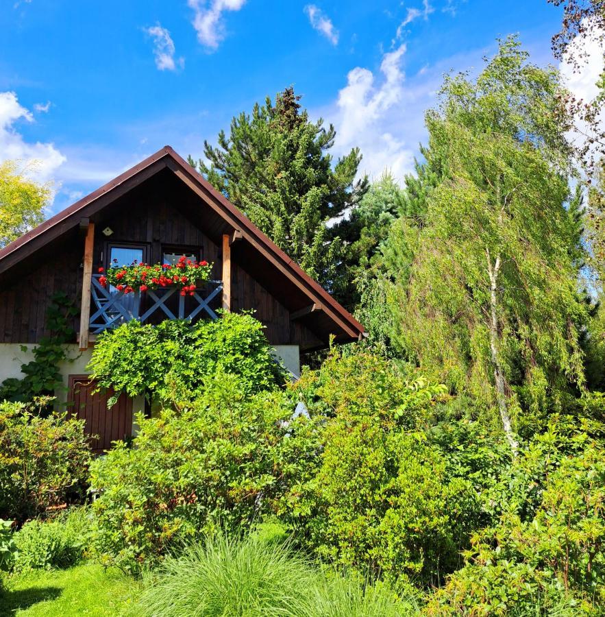 Apartament Drozdzikowka Żywiec Esterno foto